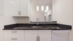 41_301_WG_Kitchen_Sink_DW