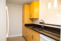 43-110-WG-kitchen-w-pantry