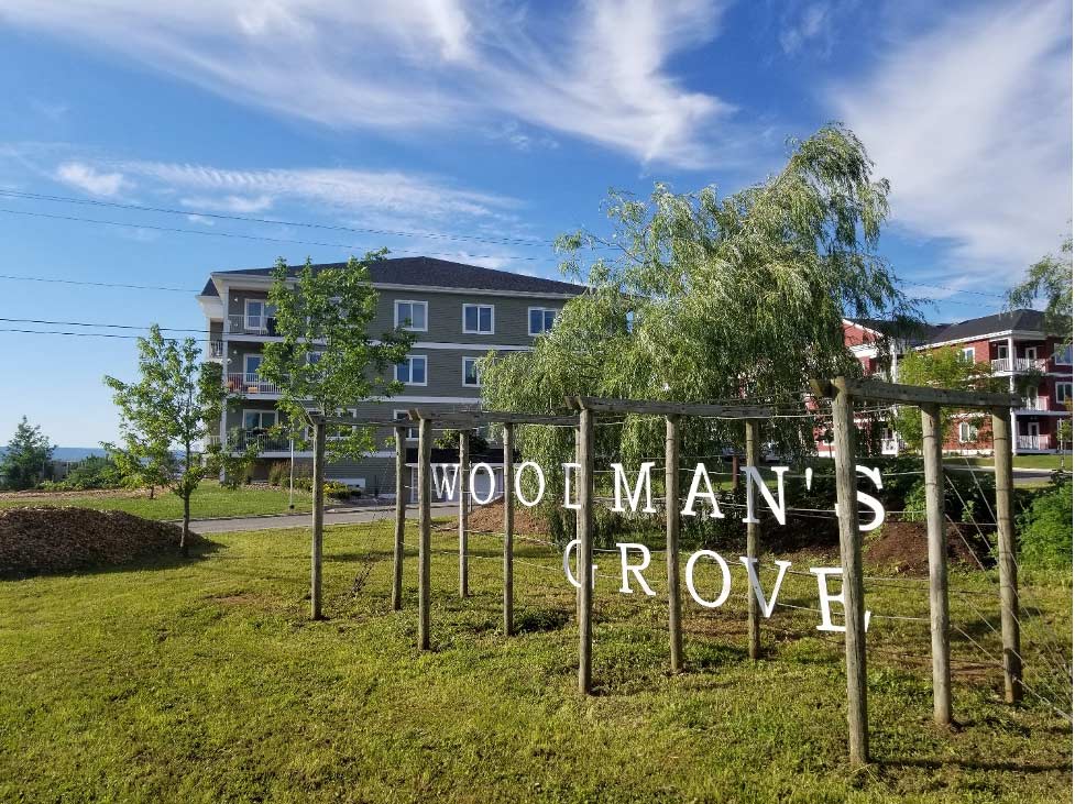Woodmans_grove