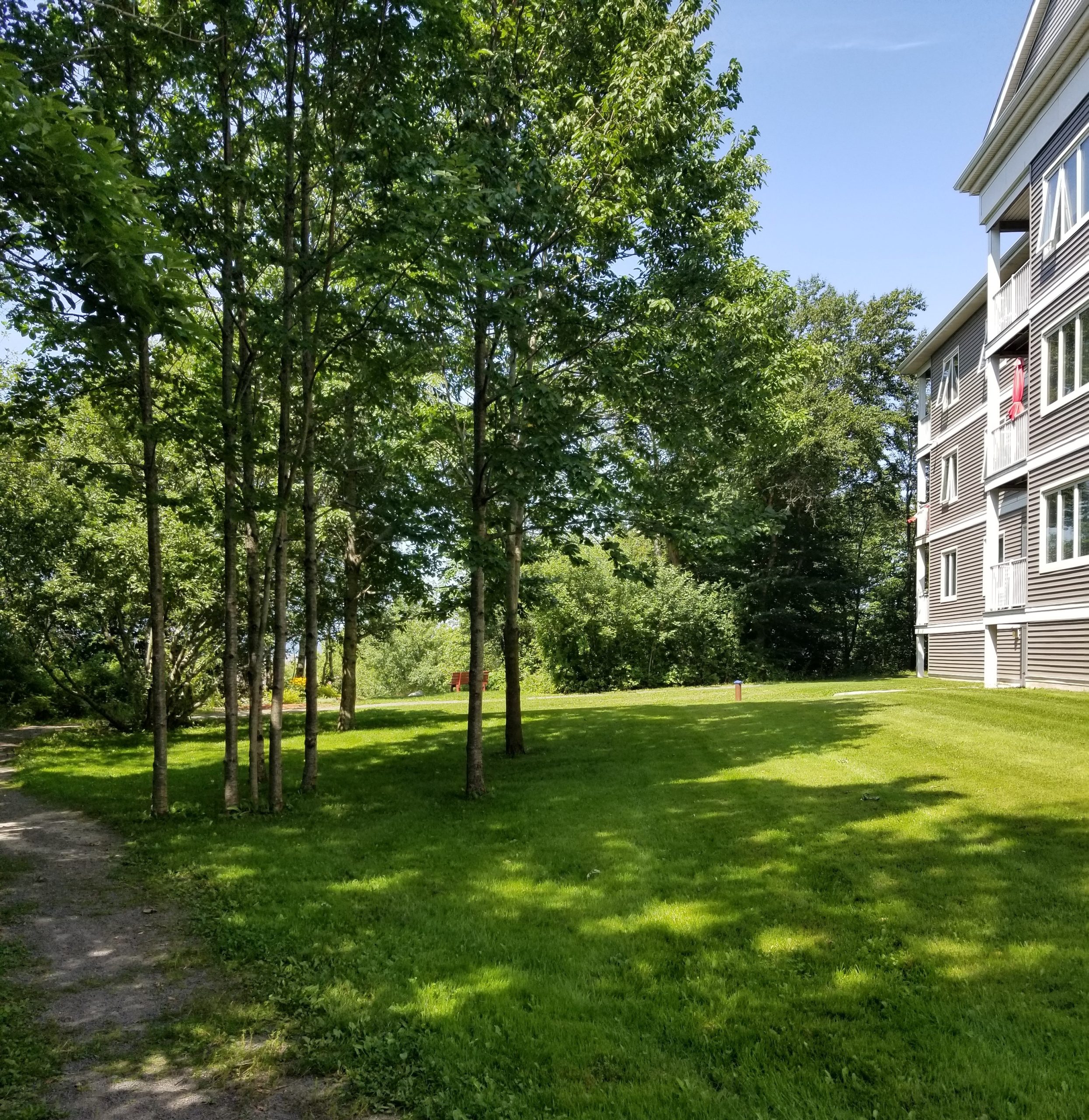 67 Woodman Rd Wolfville NS apartment forest